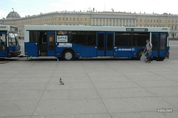 Жесть. Главная достопримечательность Дворцовой площади 