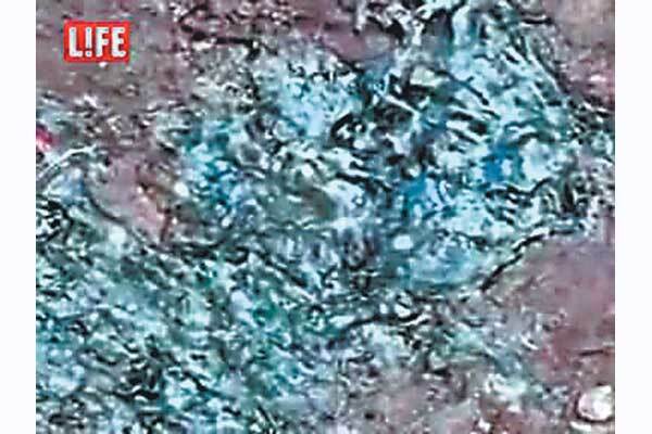 Домогаров отказался хоронить сына 