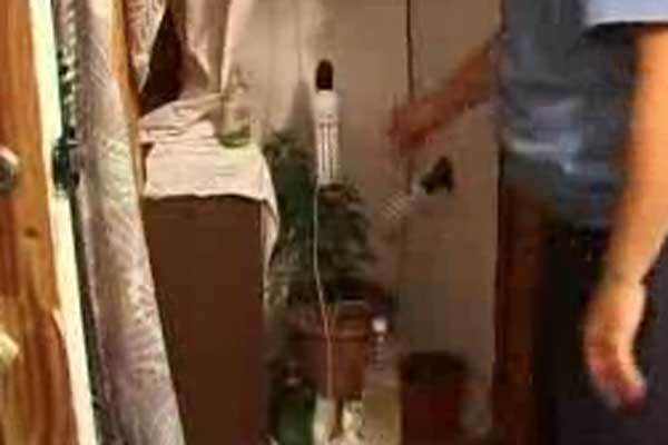 У Полтаві африканський абітурієнт вирощував у шафі коноплю