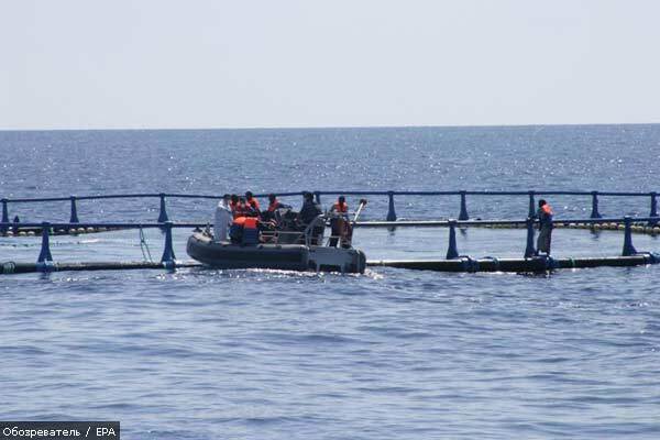 Чотири кораблі з нелегалами з Африки припливли до Італії