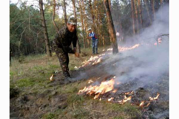 Семь регионов Украины охвачены пожарами