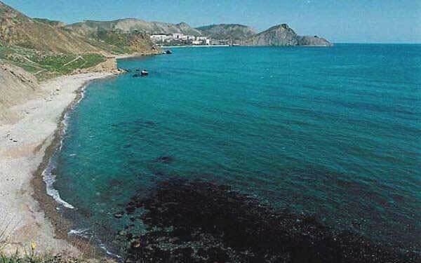 Росії не дадуть охороняти Чорне море