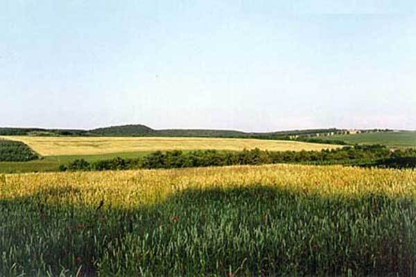 Названы семь чудес Украины