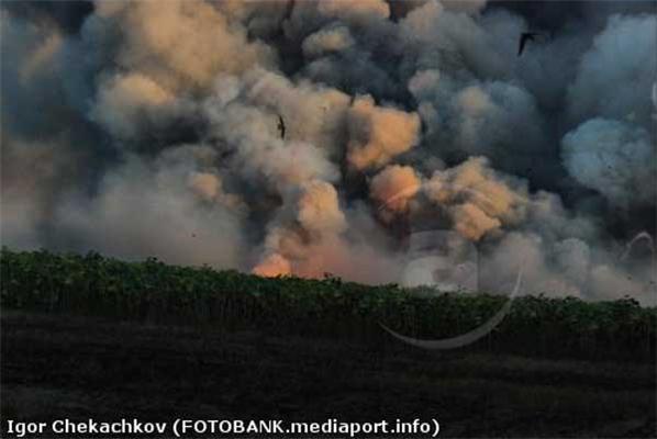 Свыше 18 тыс. украинцев стали бездомными