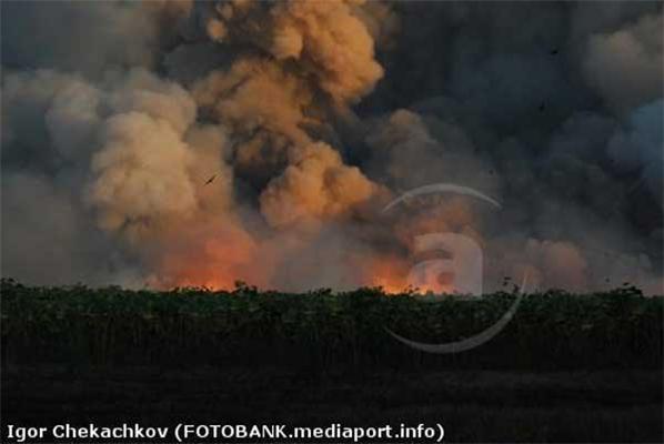 Свыше 18 тыс. украинцев стали бездомными