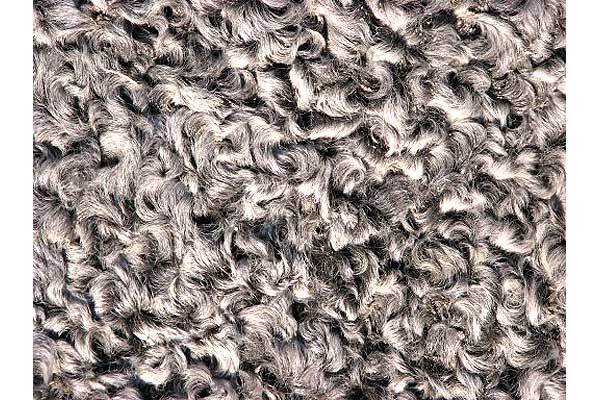 Тимошенко наденет шубу из каракульчи 