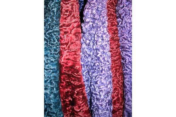 Тимошенко наденет шубу из каракульчи 