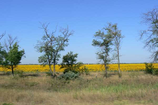 Премьер поняла, зачем Украина нужна миру