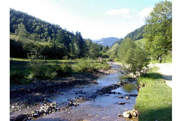 На Прикарпатье нашли украинский Стоунхендж 