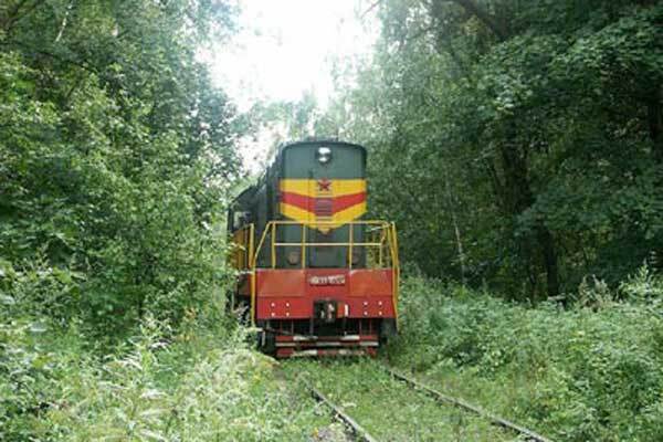 Венгры арестовали львовский поезд с контрабандой