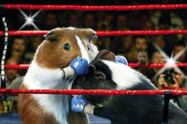 Все спортсмены - настоящие твари! Суперфото! 