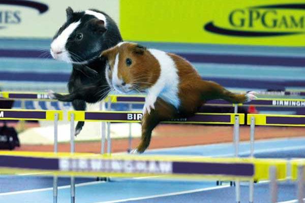 Все спортсмены - настоящие твари! Суперфото! 