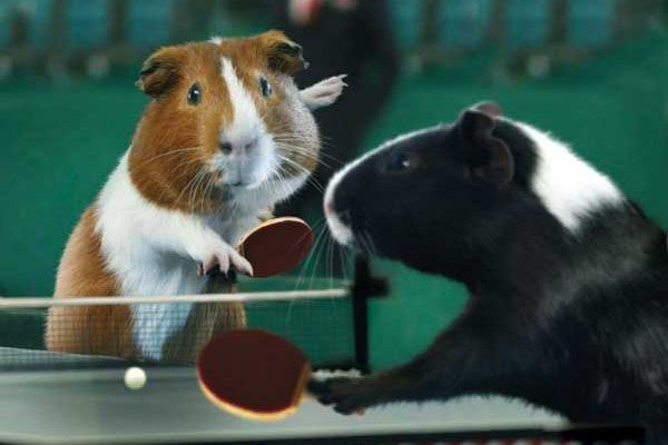 Все спортсмены - настоящие твари! Суперфото! 