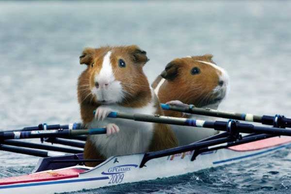 Все спортсмены - настоящие твари! Суперфото! 