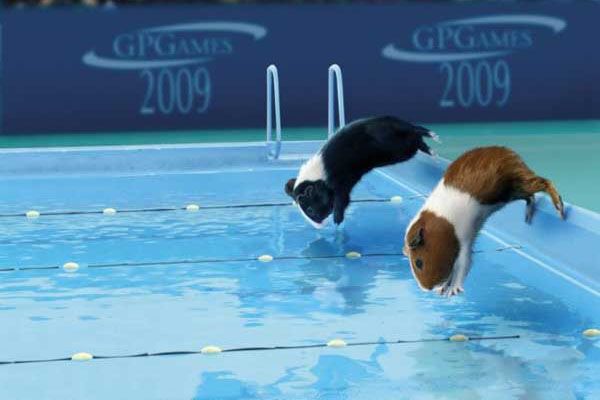 Все спортсмены - настоящие твари! Суперфото! 