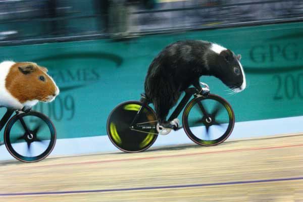 Все спортсмены - настоящие твари! Суперфото! 