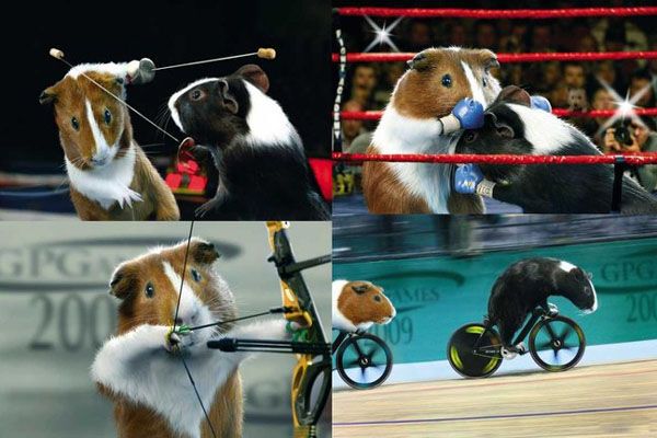 Все спортсмены - настоящие твари! Суперфото! 