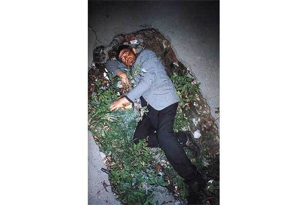 В Харькове пройдет фестиваль искусства «Боб-Фест»