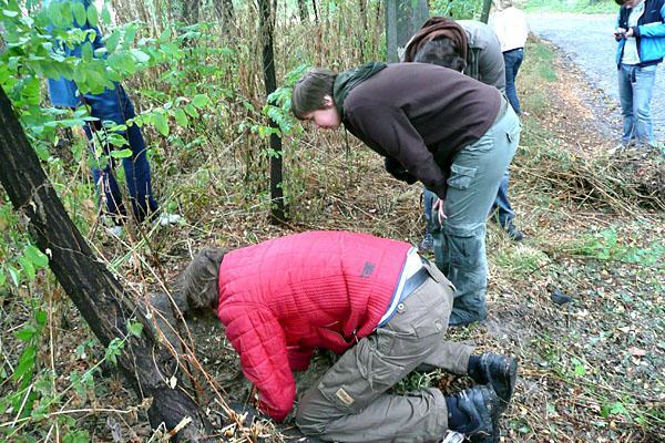Автобанда в погоне за злобным Буратином