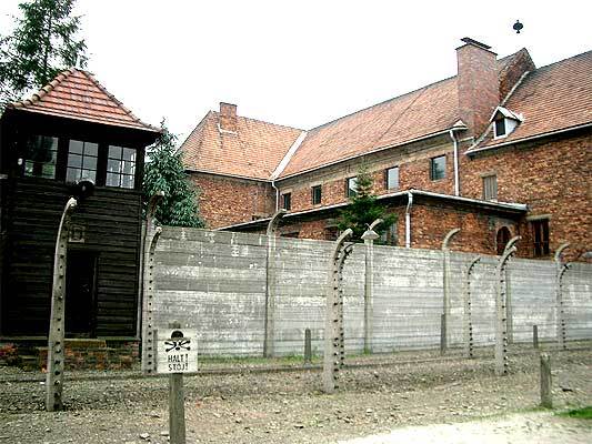 Освенцим нуждается в реконструкции