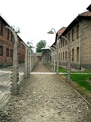 Освенцим нуждается в реконструкции