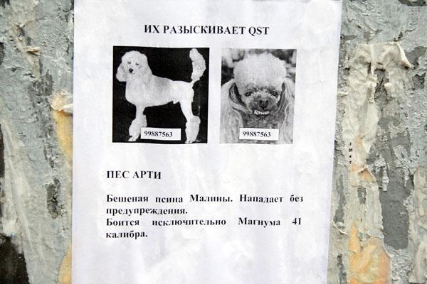 Автобанда в погоне за злобным Буратином