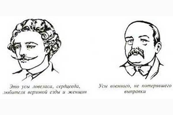 Толкователь усов 