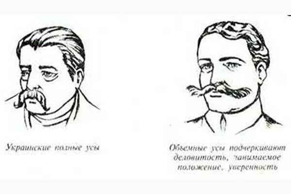 Толкователь усов 