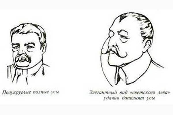 Толкователь усов 