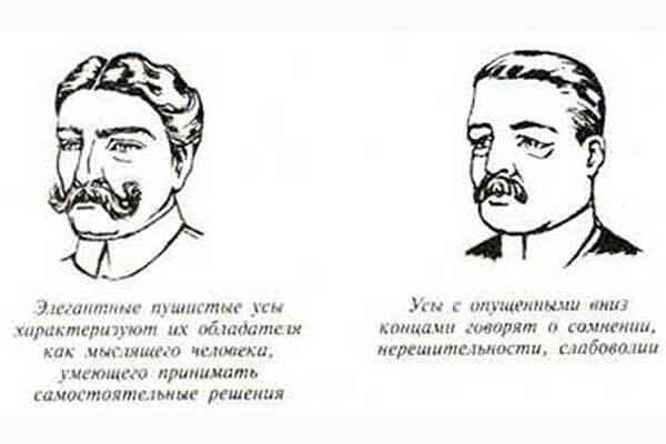 Толкователь усов 