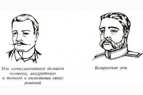 Толкователь усов 