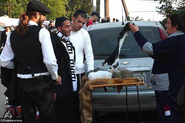 Умань - хасидська. Хто заробляє на паломниках?