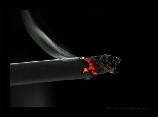 Акциз на сигареты с фильтром повысится с февраля на 25% 