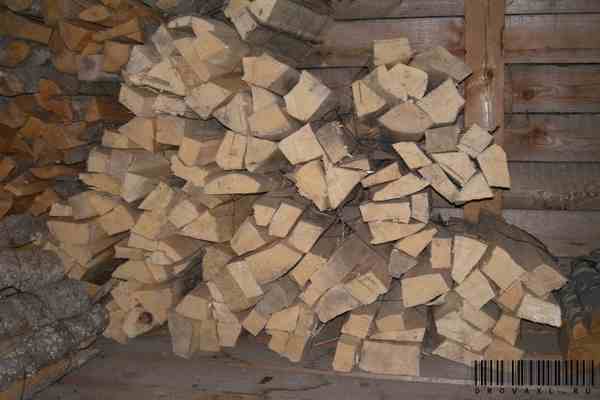 Младопутінци подарують Ющенку в'язку дров