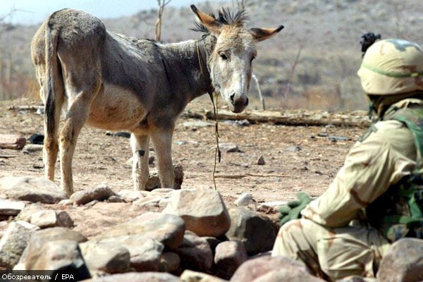 США отправят в Афганистан новые войска