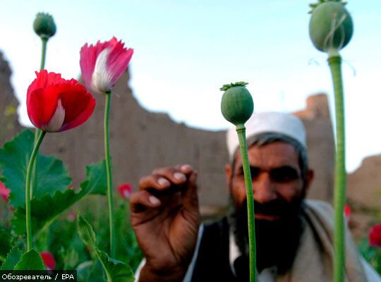 Афганістан виробляє 92% всього опіуму у світі