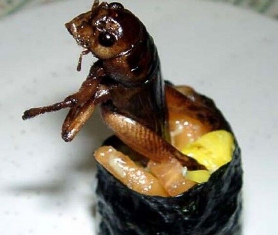 Закусончик - суши с насекомыми 