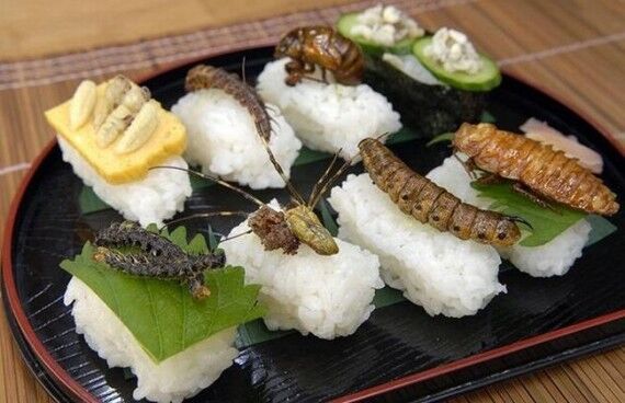 Закусончик - суши с насекомыми 