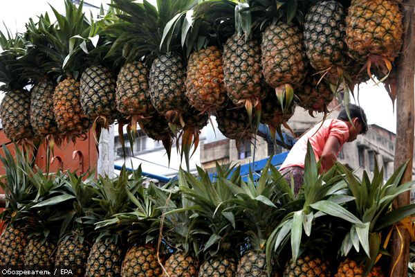 Украинская таможня искусственно завышает цены на фрукты