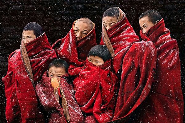 Лучшие цифровые фото 2009 года