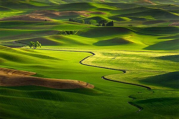 Лучшие цифровые фото 2009 года