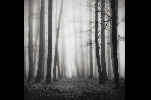 Самые красивые фото природы-2009