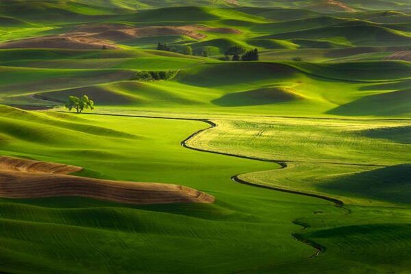 Самые красивые фото природы-2009