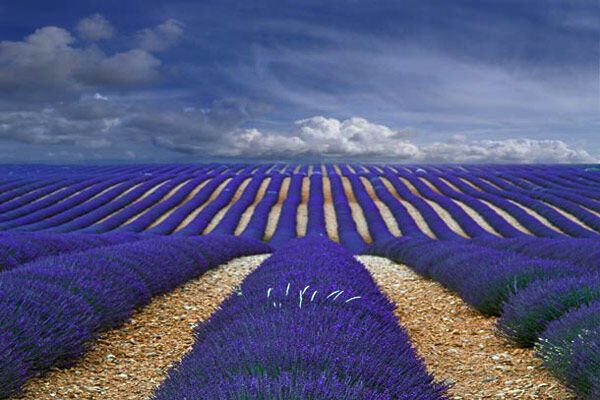 Самые красивые фото природы-2009