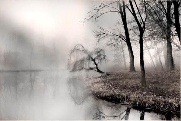 Самые красивые фото природы-2009