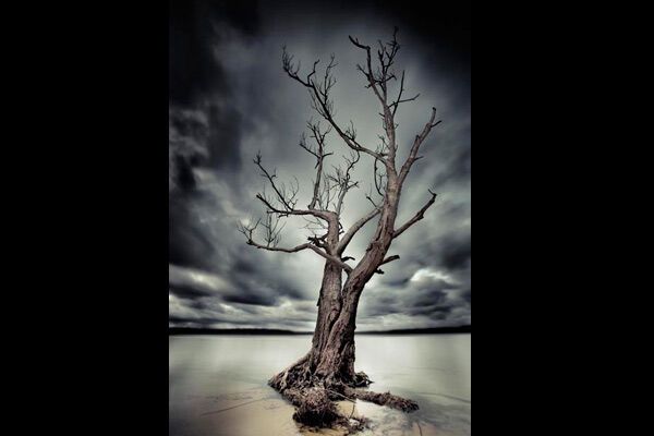 Самые красивые фото природы-2009