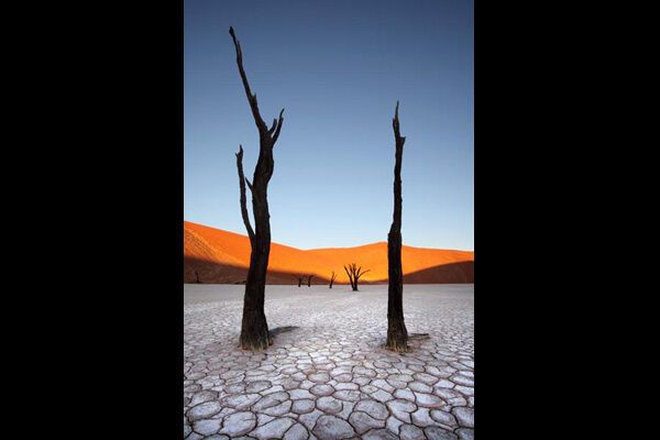 Самые красивые фото природы-2009