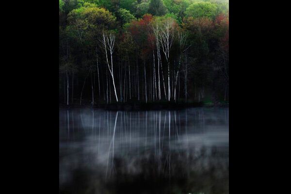 Самые красивые фото природы-2009