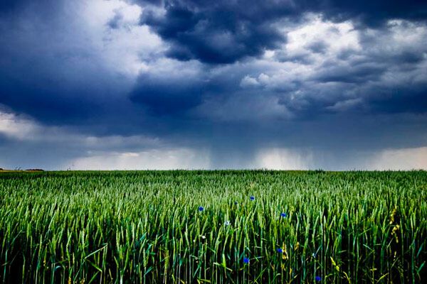 Самые красивые фото природы-2009