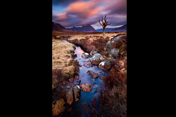 Самые красивые фото природы-2009